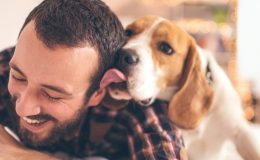 Hundehaftpflicht Fur Listenhunde Kosten Test Tarife 21