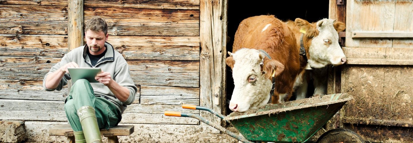 Ertragsschadenversicherung Tierseuchen Ertragsschadenversicherung Tierseuchen