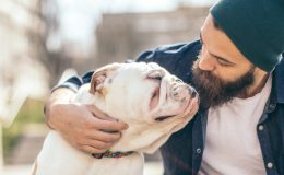 Hundehaftpflicht Fur Listenhunde Kosten Test Tarife 21