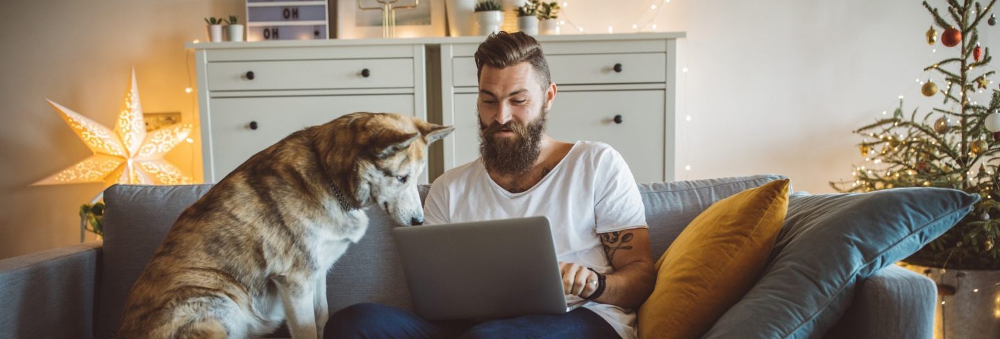 Hundehaftpflichtversicherung kündigen Hundehaftpflichtversicherung kündigen