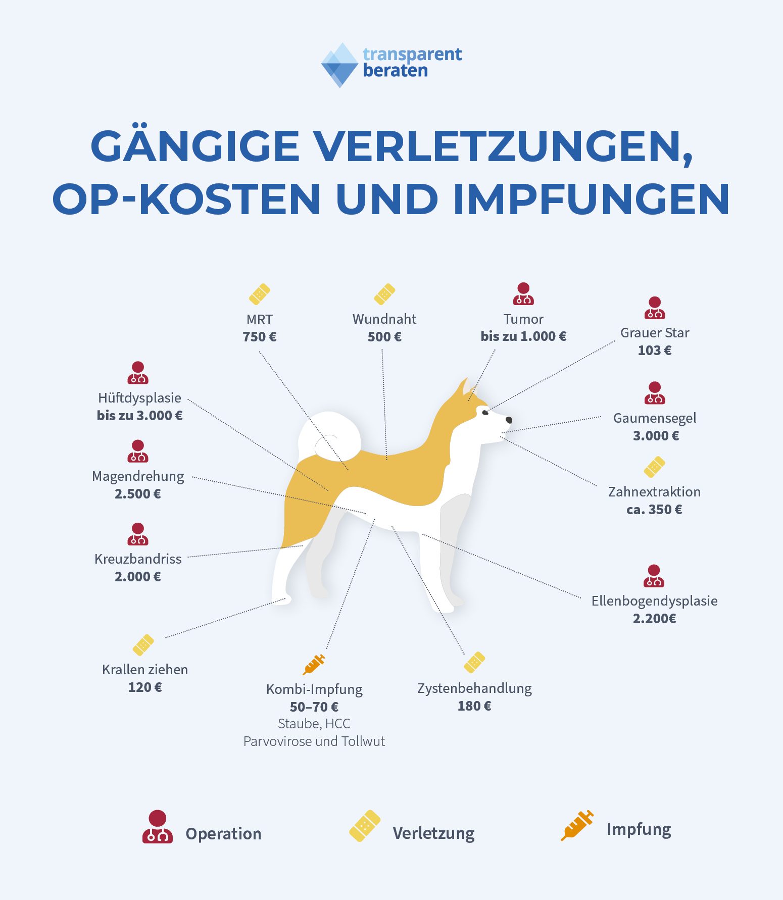 Einzigartig Gaumensegel Op Hund Kosten