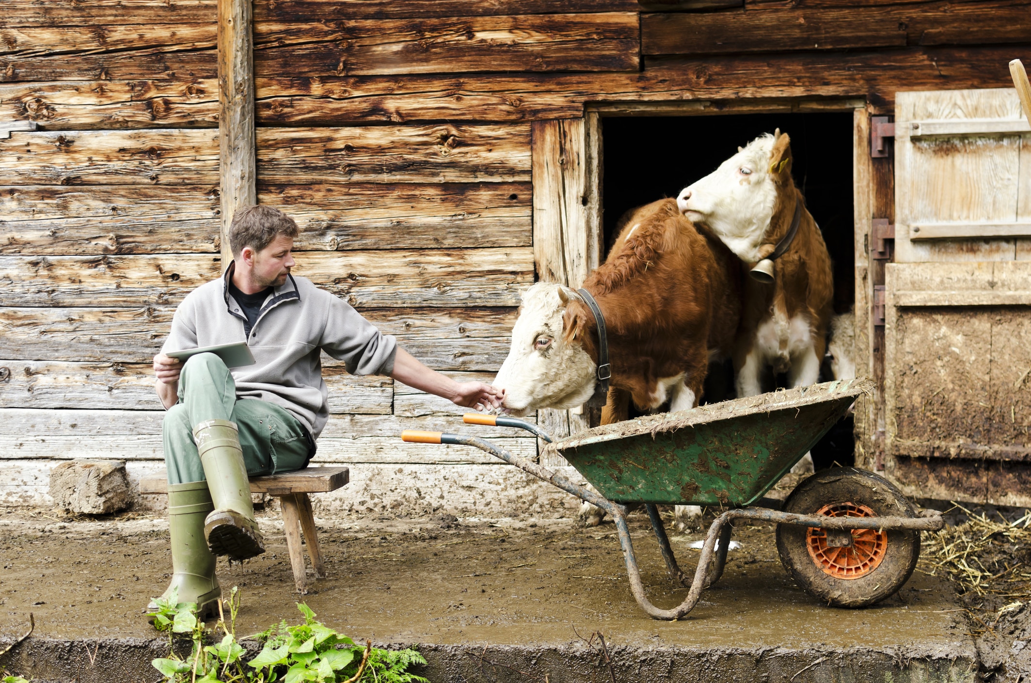 Rechtsschutzversicherung für Landwirtschaft | Vom Experten!