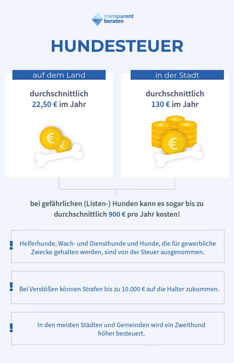 Wie Teuer Ist Die Hundesteuer Versicherung für Hunde | Anmelden und Hundesteuer (2025)