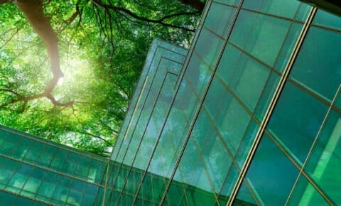 Fassade eines Gebäudes mit viel Glas, darüber grüne Zweige und Sonnenlicht